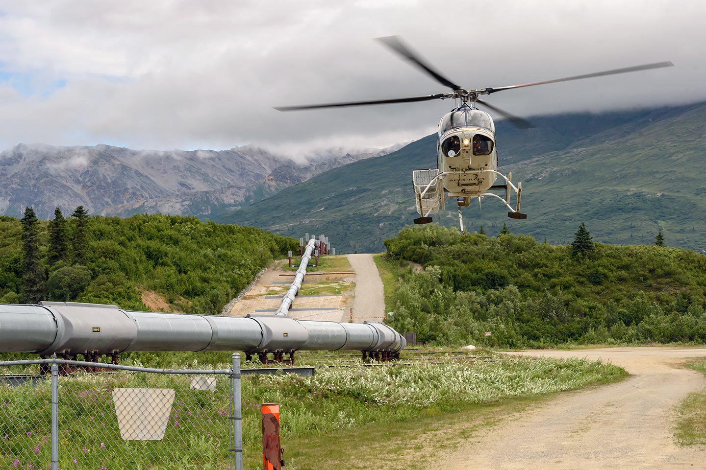 Pipeline Surveys in New Mexico
